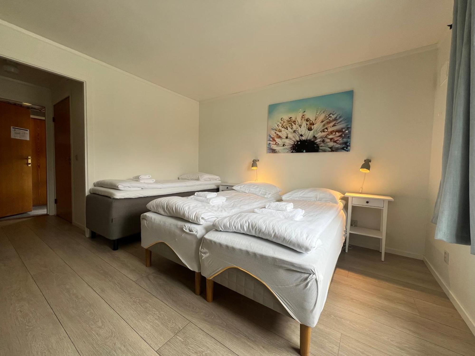 Malmplassen Bed & Breakfast Tolga Exteriör bild