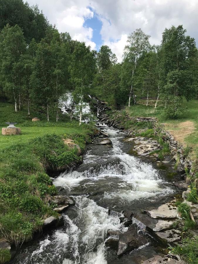 Malmplassen Bed & Breakfast Tolga Exteriör bild