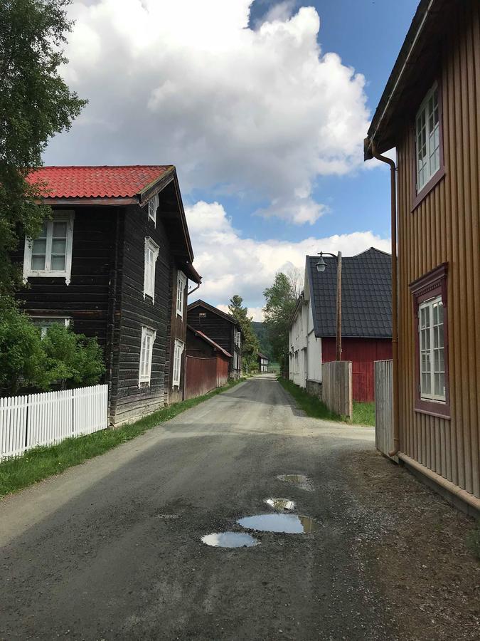 Malmplassen Bed & Breakfast Tolga Exteriör bild